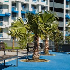 Квартира 40,9 м², 1-комнатная - изображение 3