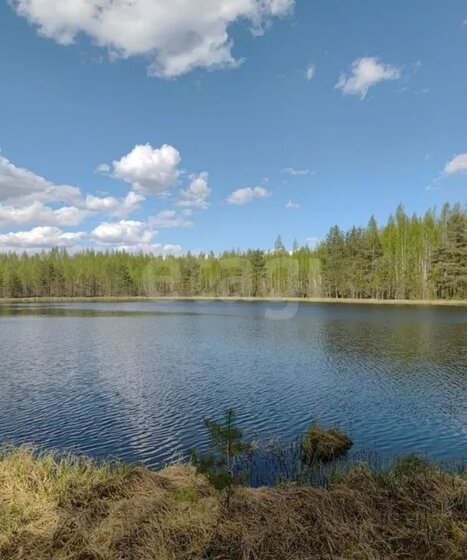 11,8 сотки, участок 3 250 000 ₽ - изображение 36
