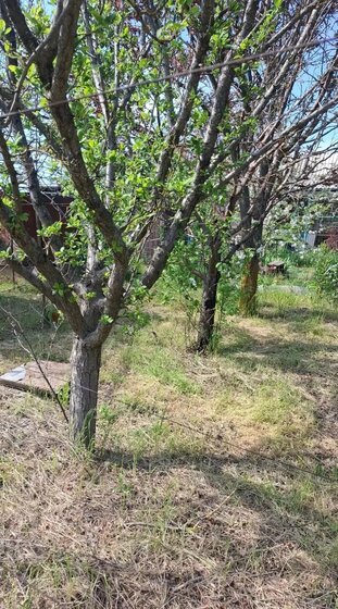 53 м², 2-комнатная квартира 5 400 000 ₽ - изображение 27