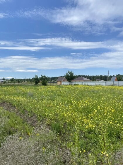 13 соток, участок 1 300 000 ₽ - изображение 29