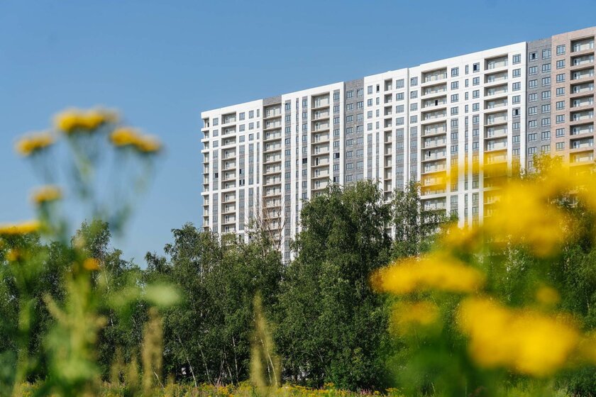 126 м², помещение свободного назначения 70 347 000 ₽ - изображение 43