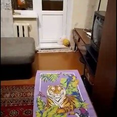 15 м², комната - изображение 4