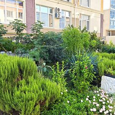 Квартира 55,3 м², 2-комнатная - изображение 3