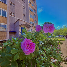 Квартира 38,8 м², 1-комнатная - изображение 2