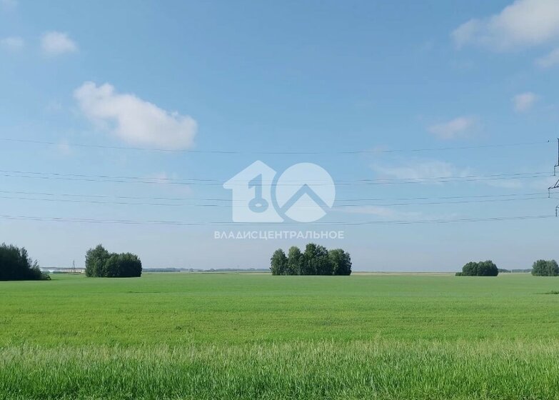 10,8 сотки, участок 650 000 ₽ - изображение 42