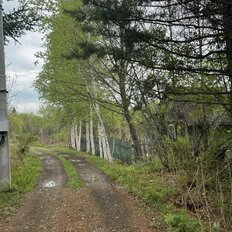 11,3 сотки, участок - изображение 3