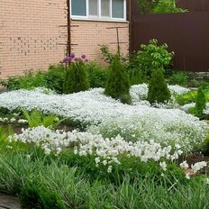 дом + 5 соток, участок - изображение 3