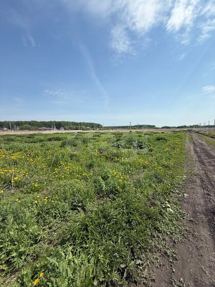 18 соток, участок 11 000 000 ₽ - изображение 35