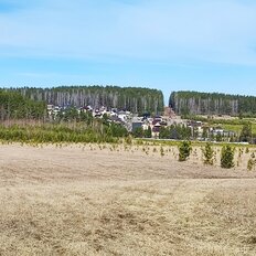 41,8 сотки, участок - изображение 3