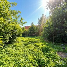 3 сотки, участок - изображение 3