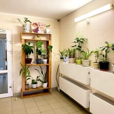 Квартира 36,9 м², 1-комнатная - изображение 5