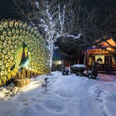 дом + 9 соток, участок - изображение 3