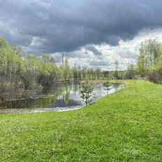 40 соток, участок - изображение 1