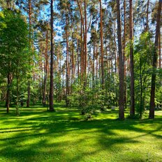 500,3 м², помещение свободного назначения - изображение 3