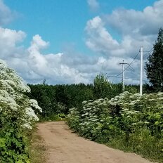 2,3 га, участок - изображение 2