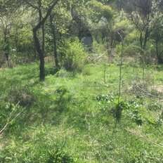 14 соток, участок - изображение 4