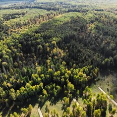 10,5 сотки, участок - изображение 1