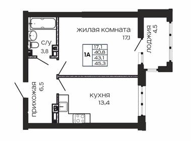 45,3 м², 1-комнатная квартира 9 195 900 ₽ - изображение 1