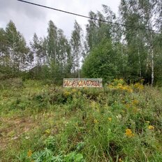 8 соток, участок - изображение 5