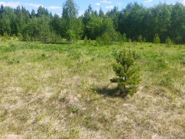 Снять коммерческую недвижимость в отдельно стоящем здании в Приморском крае - изображение 27