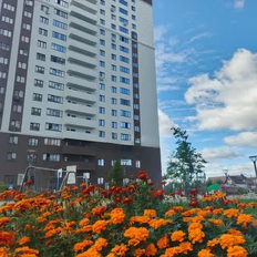 Квартира 25,4 м², студия - изображение 2