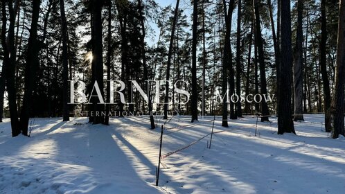 Снять коммерческую недвижимость у метро Красный проспект в Новосибирске - изображение 14