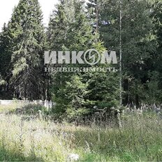 6 соток, участок - изображение 5