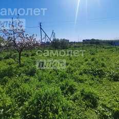 7 соток, участок - изображение 5