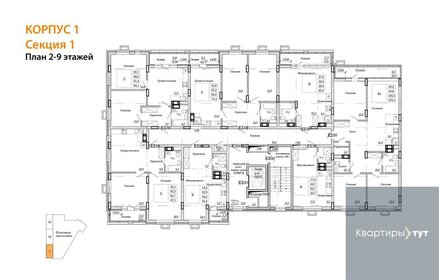 Квартира 69,3 м², 2-комнатная - изображение 2