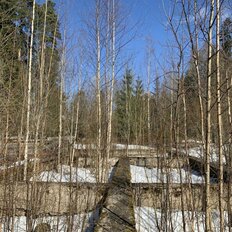 27,2 сотки, участок - изображение 4