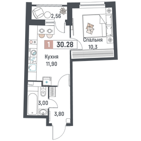 Квартира 30,3 м², 1-комнатная - изображение 1