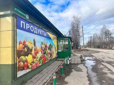 Снять квартиру с высокими потолками на улице имени Генерала Меркулова в Липецке - изображение 33