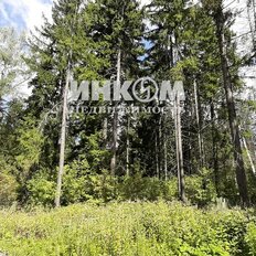 6 соток, участок - изображение 2