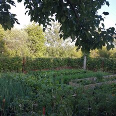 4 сотки, участок - изображение 4