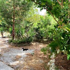 Квартира 56 м², 2-комнатные - изображение 1