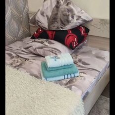 Квартира 28 м², 1-комнатная - изображение 2