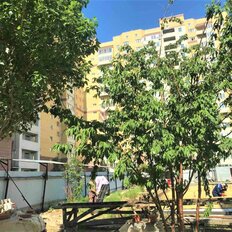 Квартира 40,7 м², 1-комнатная - изображение 4