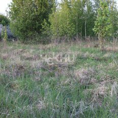 30 соток, участок - изображение 4