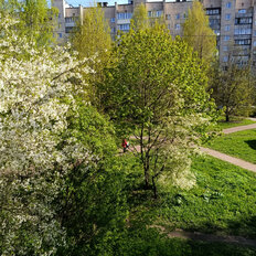 Квартира 50,5 м², 2-комнатная - изображение 5