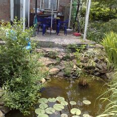 дом + 6 соток, участок - изображение 4