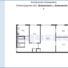 Квартира 59,1 м², 4-комнатная - изображение 1