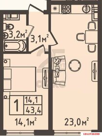 Квартира 43,5 м², 1-комнатная - изображение 1