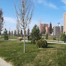 Квартира 27 м², студия - изображение 1