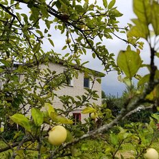 4,4 сотки, участок - изображение 2