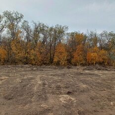 6 соток, участок - изображение 5