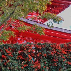 Квартира 38 м², 1-комнатная - изображение 2