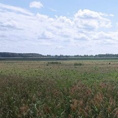 6,9 сотки, участок - изображение 1