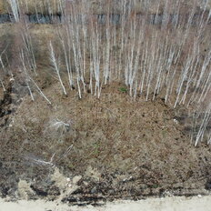 6,1 сотки, участок - изображение 1