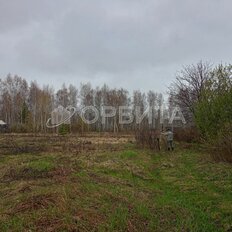 8 соток, участок - изображение 2