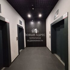 Квартира 55,3 м², 2-комнатная - изображение 1